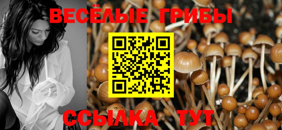 Псилоцибиновые грибы Cubensis  Псилоцибиновые грибы Psilocybine cubensis  Вход с VPN  Лабинск 