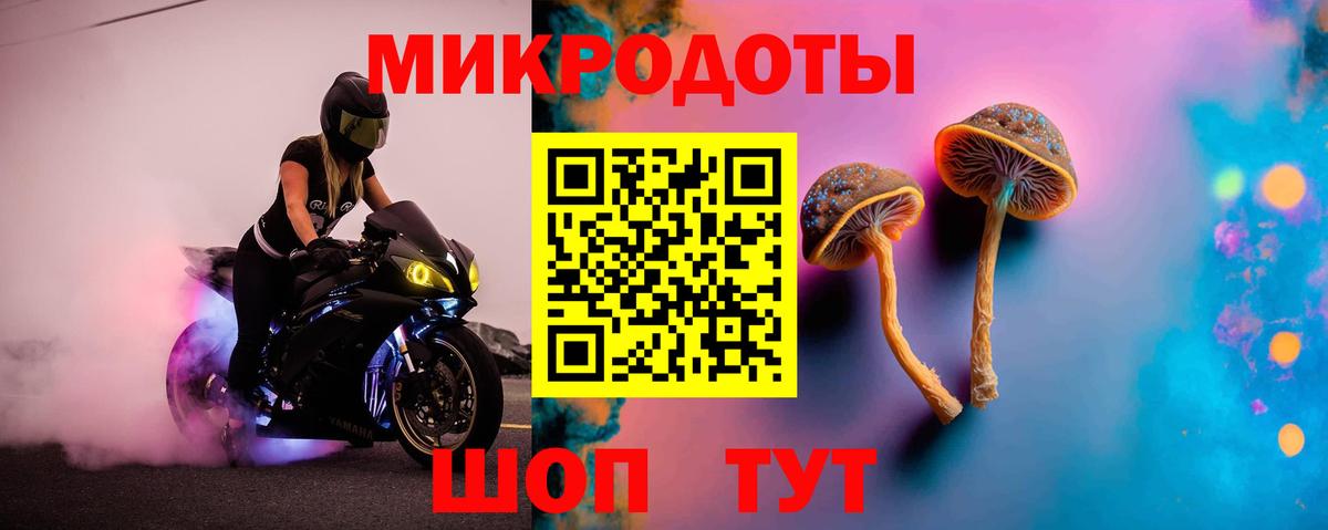 Псилоцибиновые грибы мухоморы Лабинск